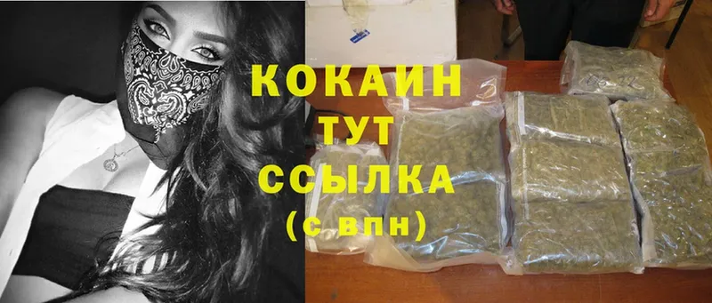 купить   Подпорожье  Cocaine FishScale 