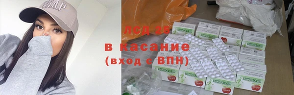 шишки Нязепетровск