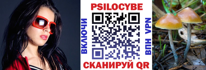 Галлюциногенные грибы Psilocybine cubensis  Подпорожье 